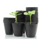 Set de ghivece pentru răsaduri 60x45x58 mm