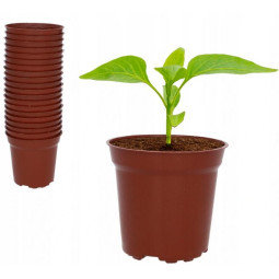 Set de 20 ghivece 7,2x6,8 cm