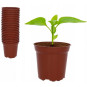 Set de 20 ghivece 7,2x6,8 cm