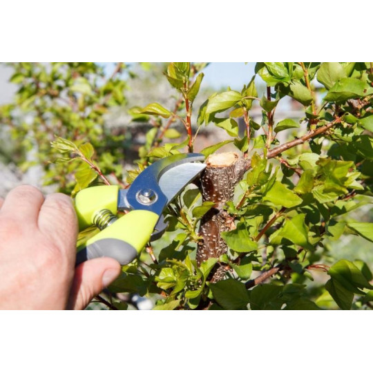 Foarfeca pentru crengi 20 cm