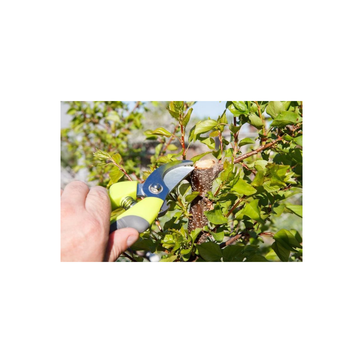 Foarfeca pentru crengi 20 cm